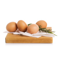 Uova da Agricoltura Simbiotica Bio 4 pezzi